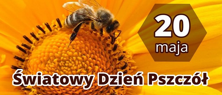 rajkrasnali.edu.pl
